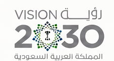 Saudi Vision 2030 logo